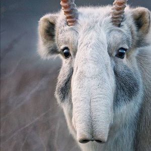 Meet your Posher, Jake